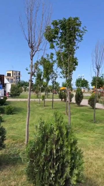 Дагестан. Dagestan. 达吉斯坦。