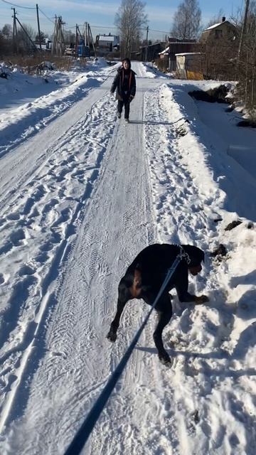 Встреча дружбанов