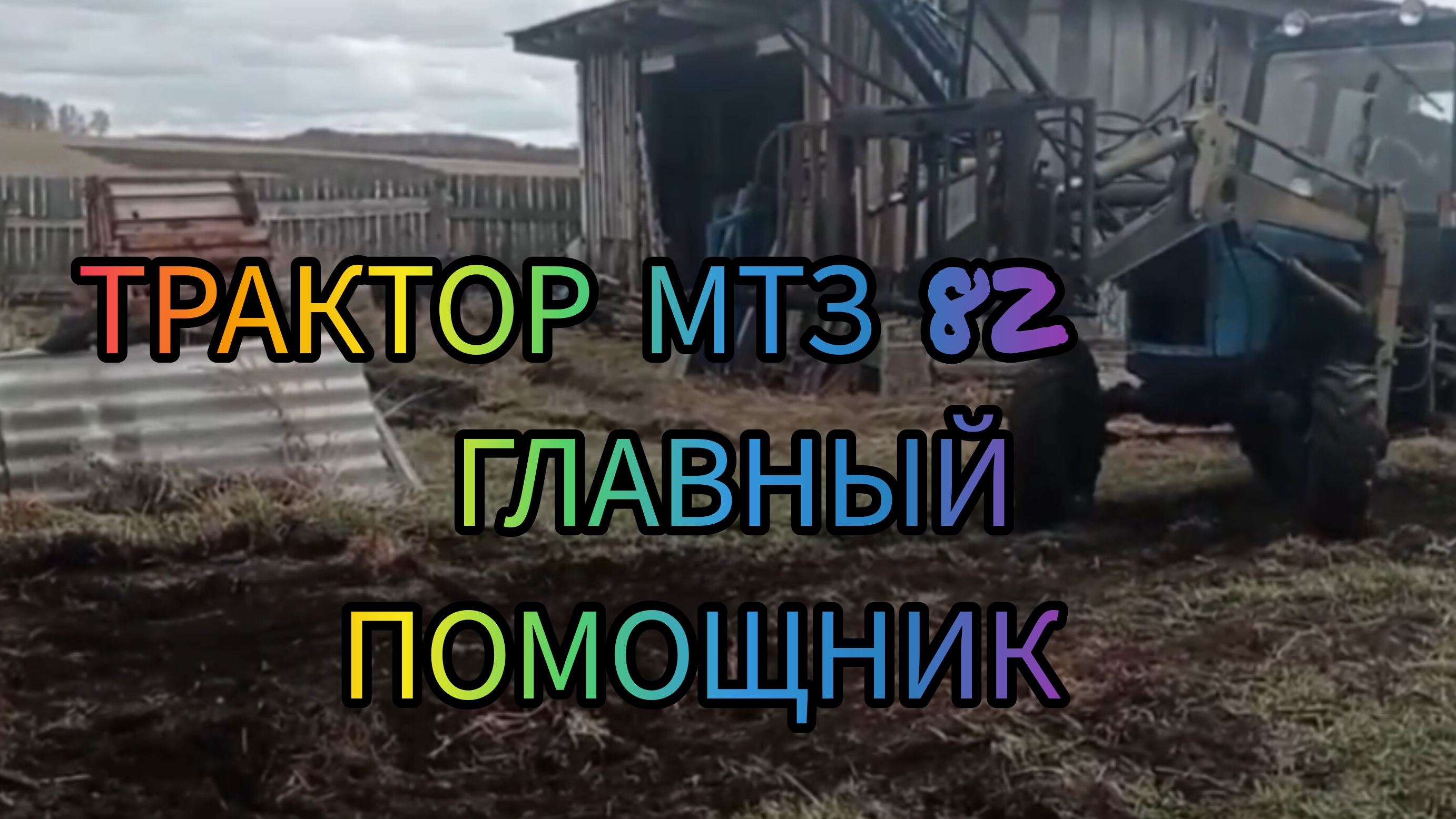 Сколько стоит суточный гусь ? Запустил МТз82 проверил вилы, расчистил старую гряду