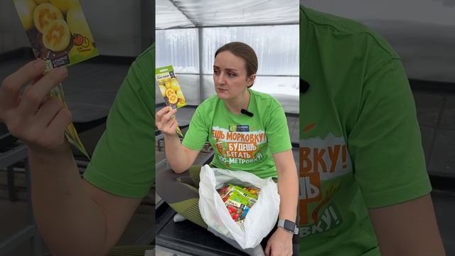 НЕОБЫЧНЫЕ ТОМАТЫ от Семена Алтая