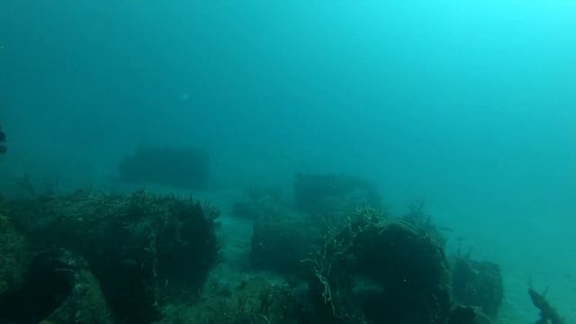 Sea Emperor Wreck - Full From Yamaha scooter