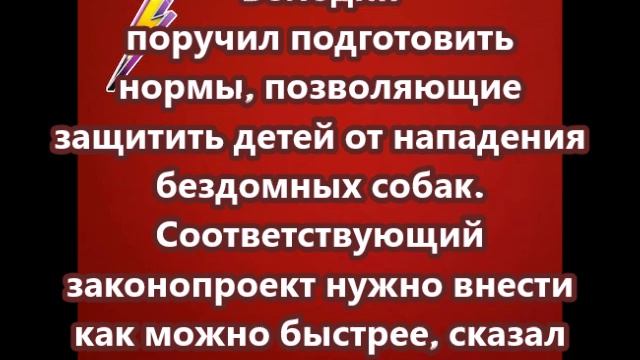 Володин поручил подготовить нормы, которые позволят защитить детей от нападения бездомных собак