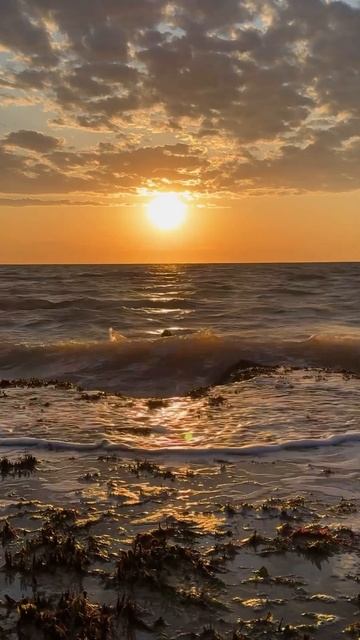 Crashing Waves at Sunrise #shortsyoutube #shortsfeed #waves #wow #beach #sunrise #nature #shorts