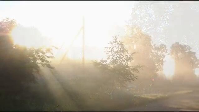 _Люблю рассветное сиянье встречать в туманной синеве_ УТРО. Музыка_ Эрнесто Кортазар - Nightingale (