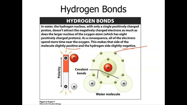 Basic Chemistry Part 1 BIO 101