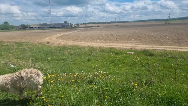 Утреннее Колдовство для рыбаков маньяков.
