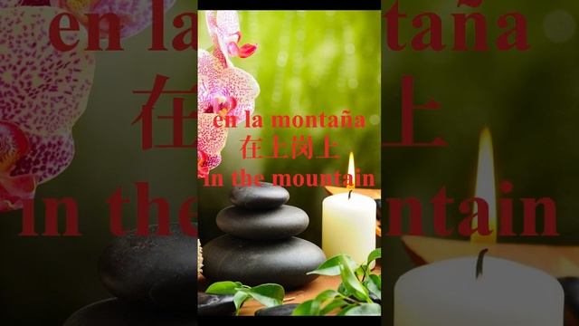 Bella Ciao en español - Diego Moreno with lyrics in Spanish (Español), English and Chinese (中文).