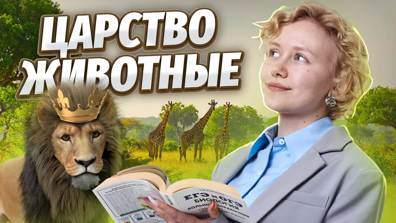 Царство животные | Что нужно знать для ОГЭ?  | Умскул