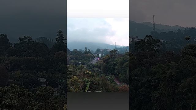 Atmosphere of Mount Gede (Java Island), With the Sound of Singing Bowls and Birds. #shorts