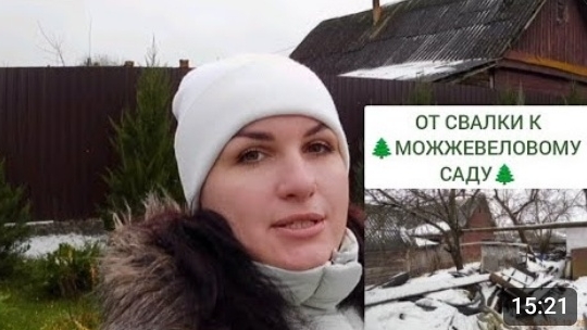 ОТ СВАЛКИ К 🌲МОЖЖЕВЕЛОВОМУ САДУ🌲.10.12.2024г.