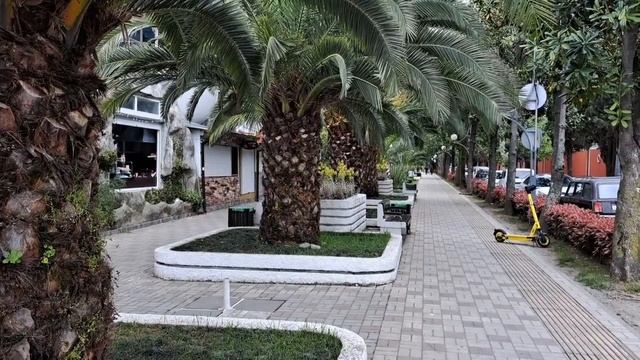 Адлер🌴🐬🌴 Южное взморье #Огонёк #Мандарин.14.04.2024