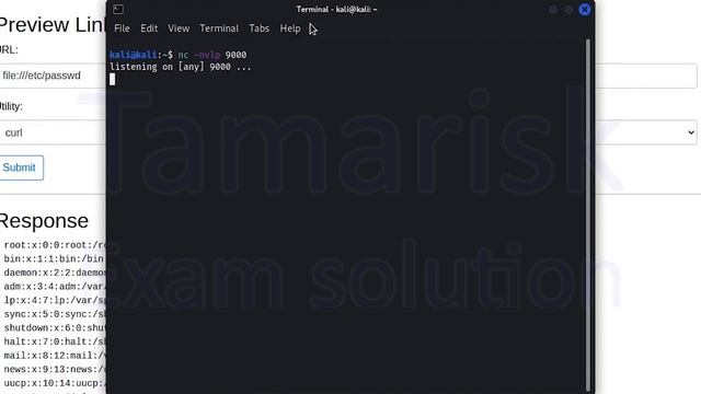 52.Tamarisk-WEB200-SSRF_03_04-Alternative URL Schemes