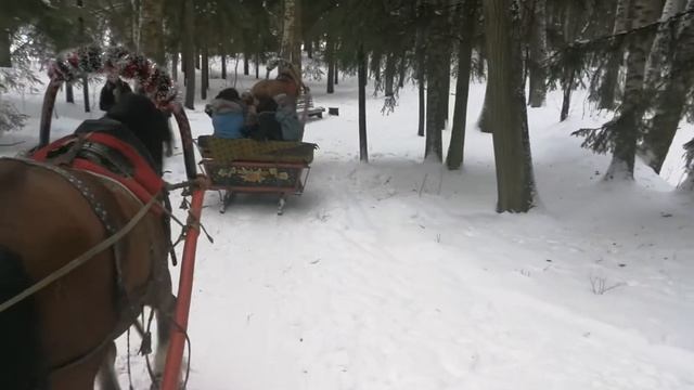 Коне руска тройка в Павловск - Русская тройка