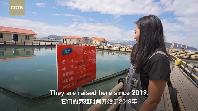 China's mysterious floating village in the East China Sea