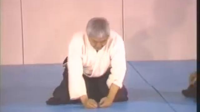 Aikido 6 - Ken Ota