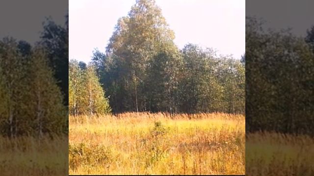 ПРИКОСНОВЕНИЕ К ДУШЕ    И.С.Бах - А.Марчелло  Адажио ре минор (360p)