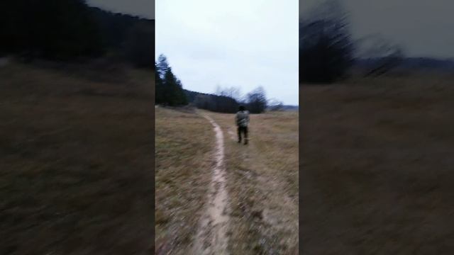 Пошли на прогулку в лес с Z патриотами