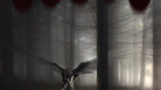 Morte e trasfigurazione - Finale - R. Strauss