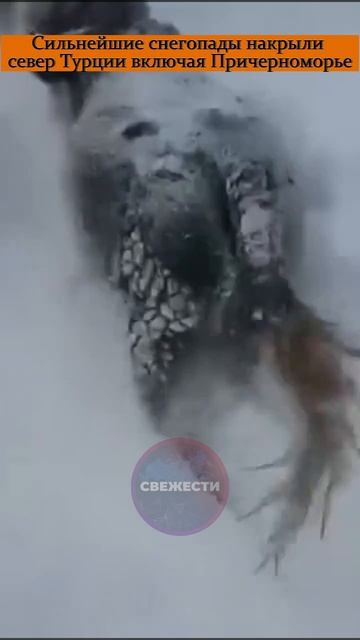 Сильнейшие снегопады накрыли север Турции включая Причерноморье