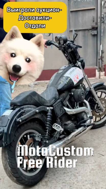 🙈🙉🙊What Happens When You Win A Dream Motorcycle At Auction