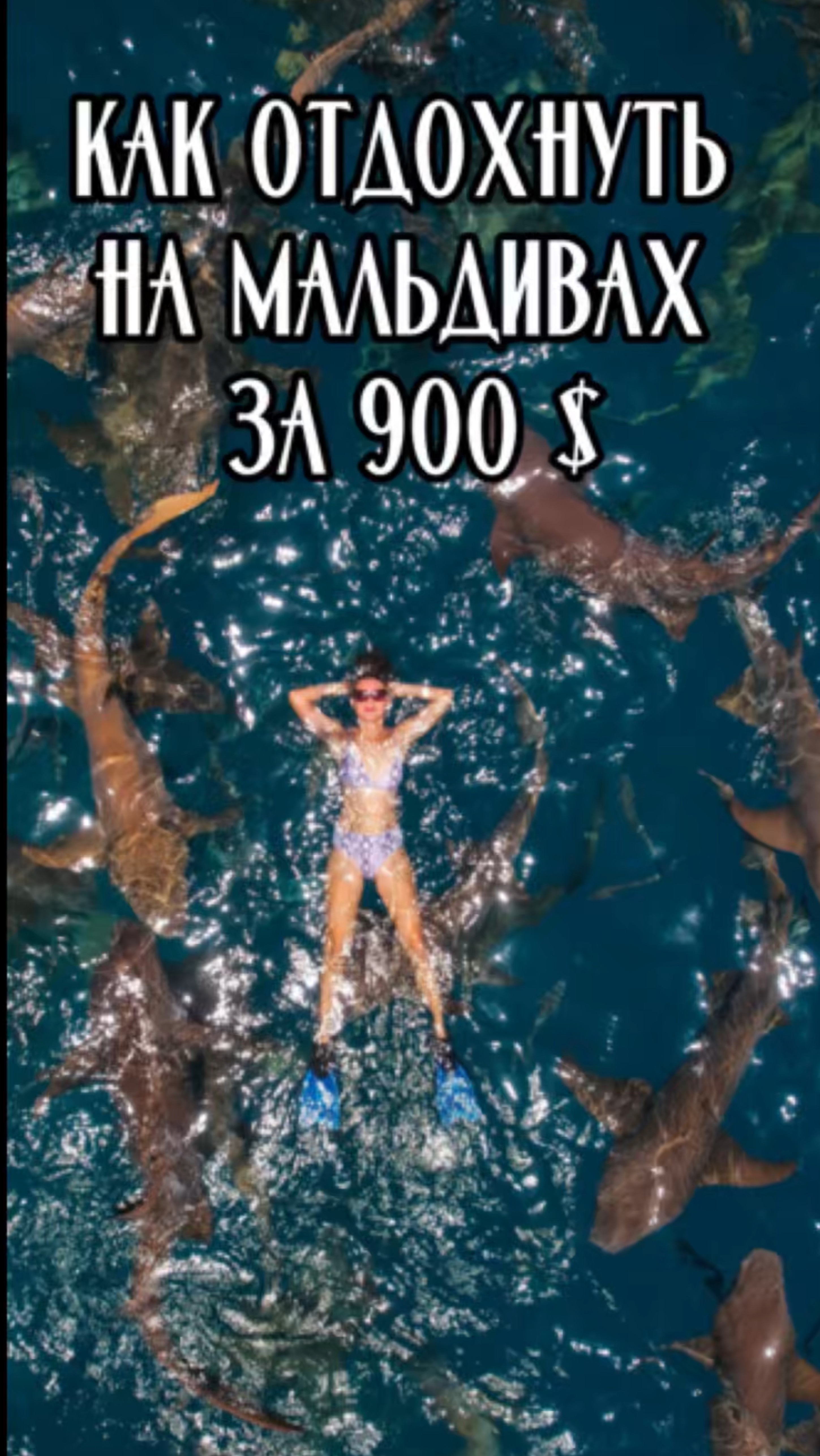 Как отдохнуть на Мальдивах за 900 $