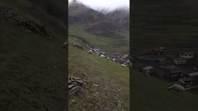мочоб Гиндиб