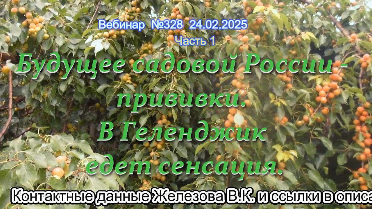 Железов Валерий. Вебинар 328. ч.1. Будущее садовой России - прививки. В Геленджик едет сенсация.