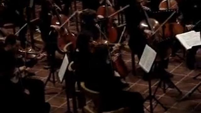 Brahms 3.Sinfonie - 3.Poco allegretto