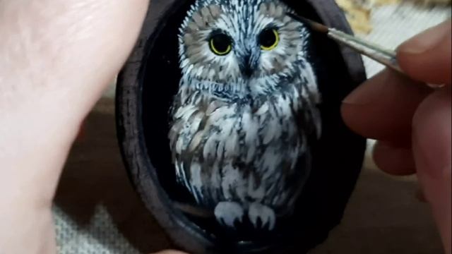 Сова.webm