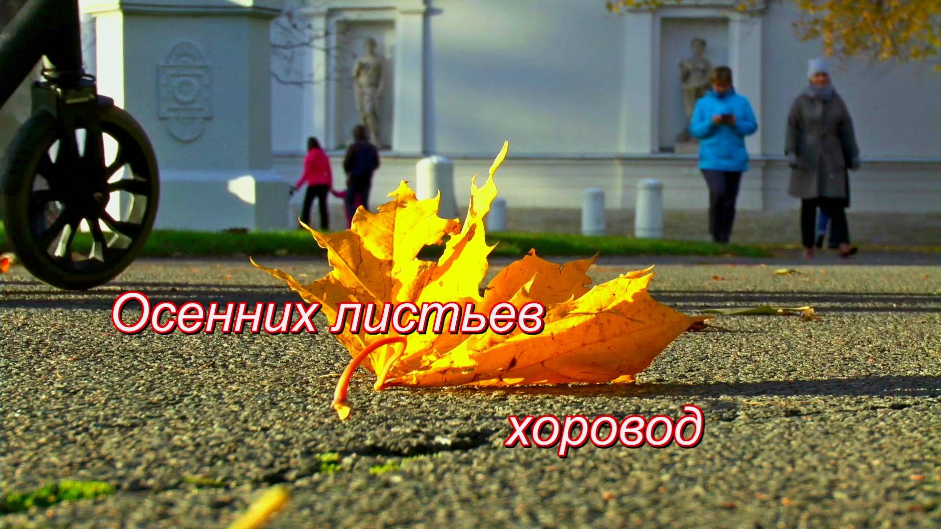 Осенних листьев хоровод