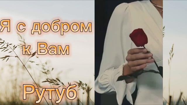 Музыкальная пауза ⏯️