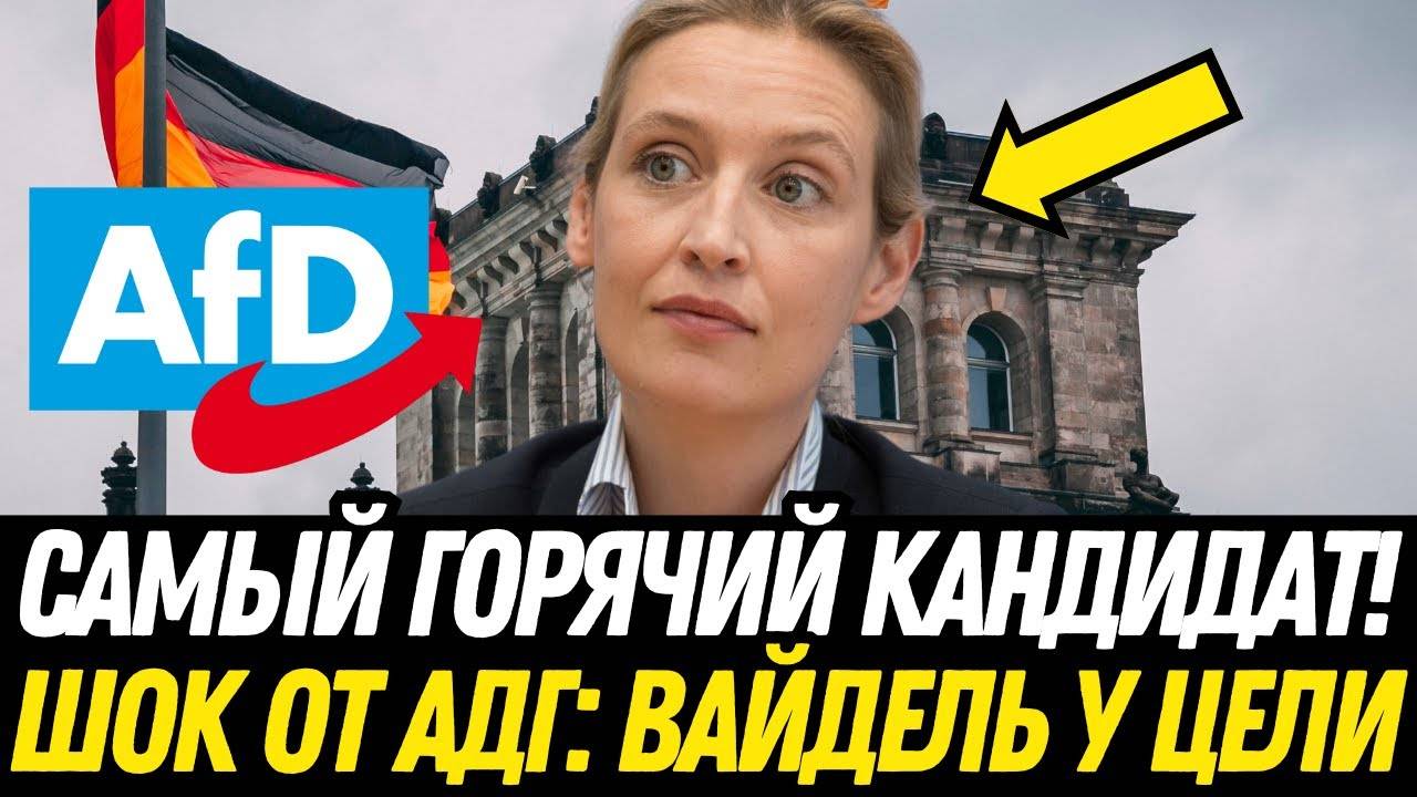 АЛИСА ВАЙДЕЛЬ: НОВЫЙ ПОЛИТИЧЕСКИЙ ФЕНОМЕН или "ВОЛК В ОВЕЧЬЕЙ ШКУРЕ"? ВЫБОРЫ В ГЕРМАНИИ!