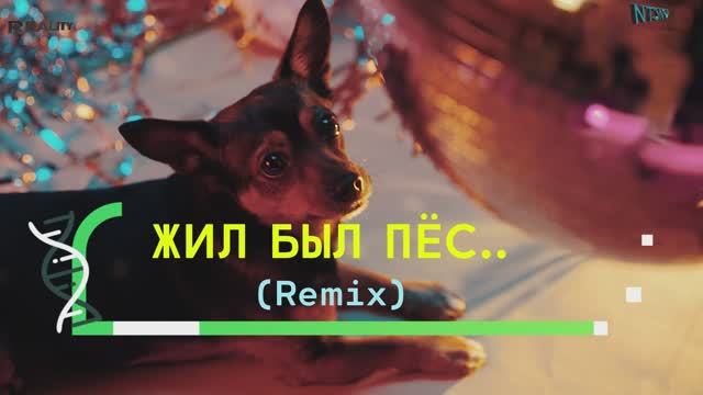 Жил был пёс...(Remix)