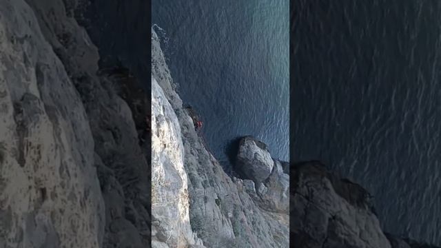 Кошка Муся жива!!! Трое суток кошка после сильного падения находилась на обрыве среди камней.