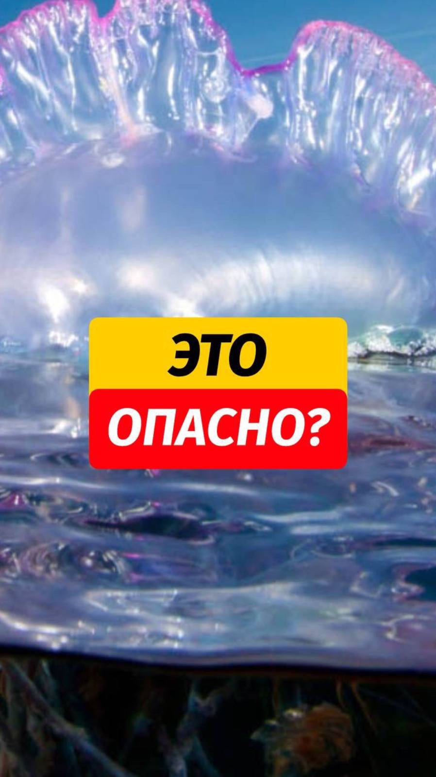 Чтобы получать гайд, пишите «ОПАСНОСТИ» ‼️  🙌🏼Подписывайтесь @arsenphuket, рассказываю больше про