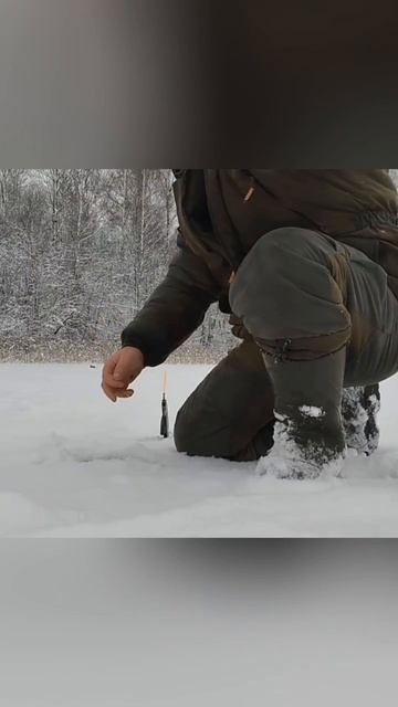 ЗЕЛЁНАЯ ЭЛИТА