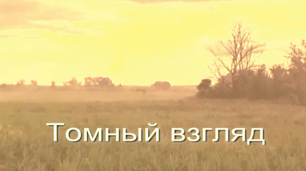 Томный взгляд. Стихи - Е.Минеева, генерация зувка в ИИ - А.Смирнова, монтаж - Е.Доставалов