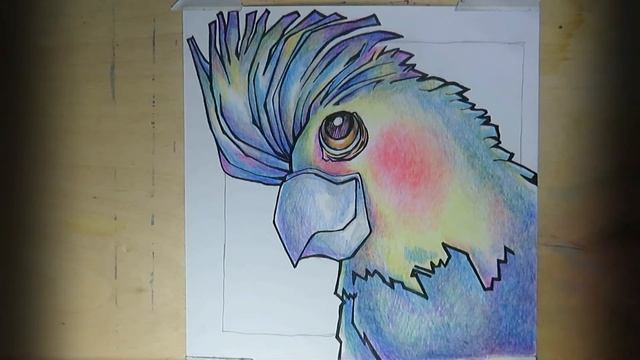 Drawing/Cute cockatoo/Sketchbook/April/#17~~Рисование/Милый какаду/Скетчбук/Апрель/№17
