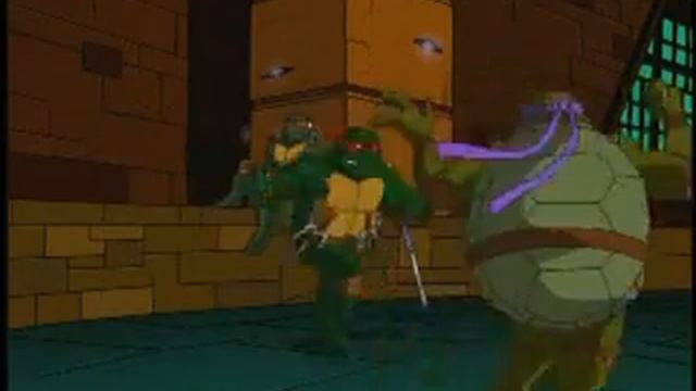 Teenage Mutant Ninja Turtles 2003 - Bio: Michelangelo