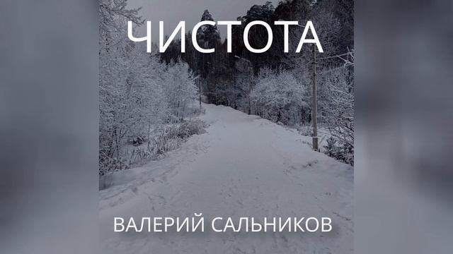 Валерий Сальников - Чистота