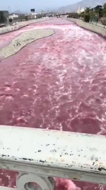 🤔В Лиме запечатлели странное явление.Там река Римак внезапно окрасилась в розовый цвет🤔