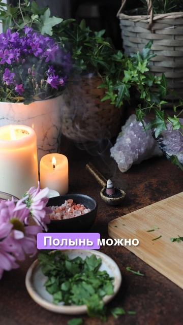 Полынь- источник здоровья🙌🏻