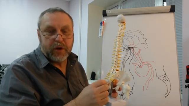 Гипертония. Почему возникает и как лечить.