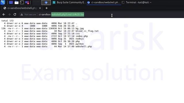 45.Tamarisk-WEB200-CI_03_09-Writing a Web Shell