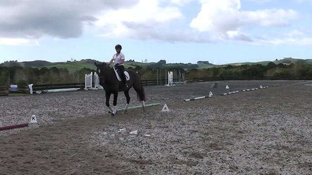 Donatello schooling 2