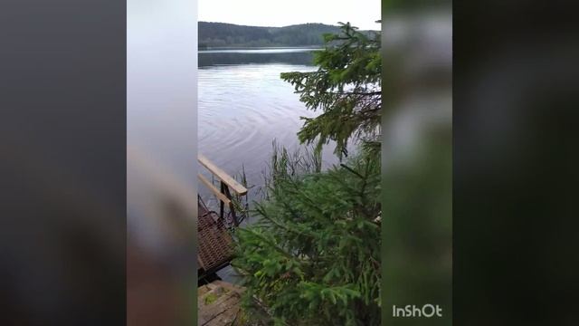 InShot_20250225_145524086.mp4