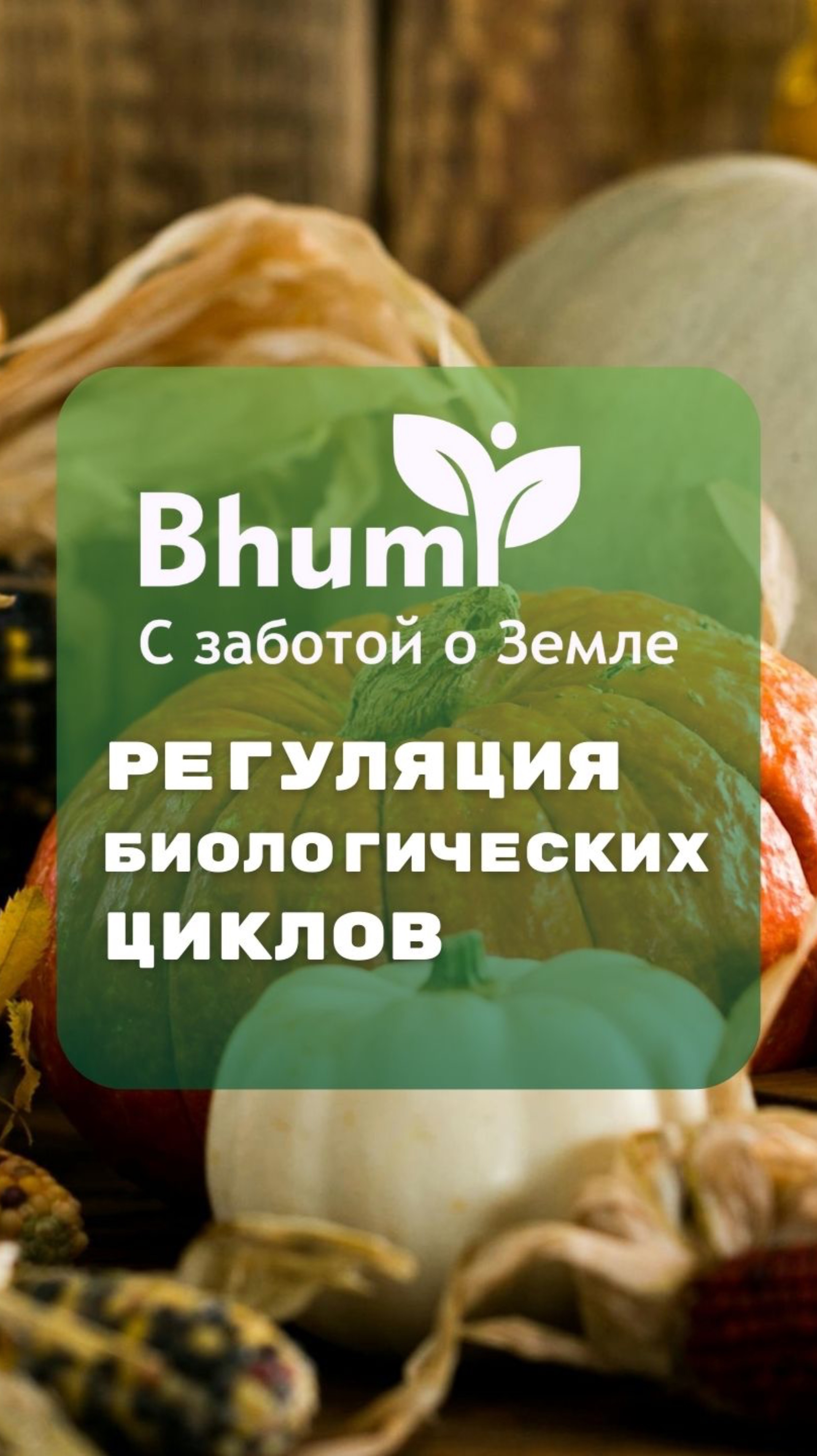 Регуляция биологических циклов #контроль #биология #цикл #органика #bhumi