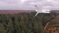 Human, Forest & Sky (turn the sound on!) Человек, Лес и Небо (обязательно со звуком!)