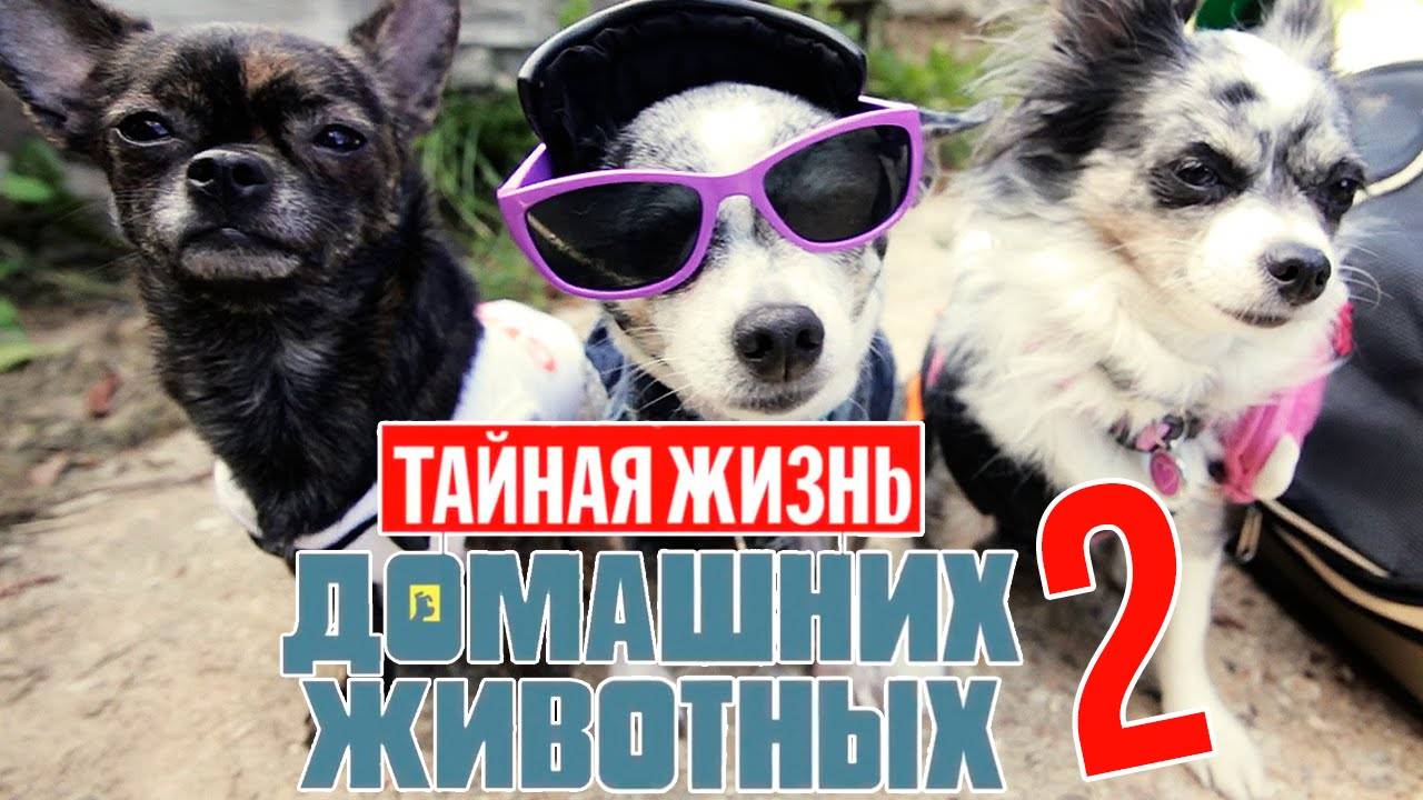 Тайная жизнь домашних животных по-русски | 2 серия 🐶