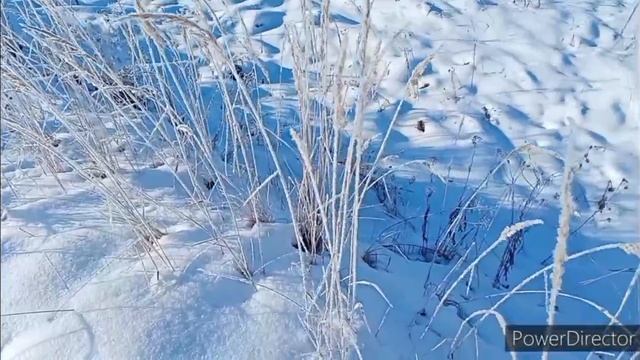 НУ ВОТ НАСТАЛИ КРЕЩЕНСКИЕ МОРОЗЫ  / ВОТ ТОЛЬКО С ОПОЗДАНИЕМ НА МЕСЯЦ